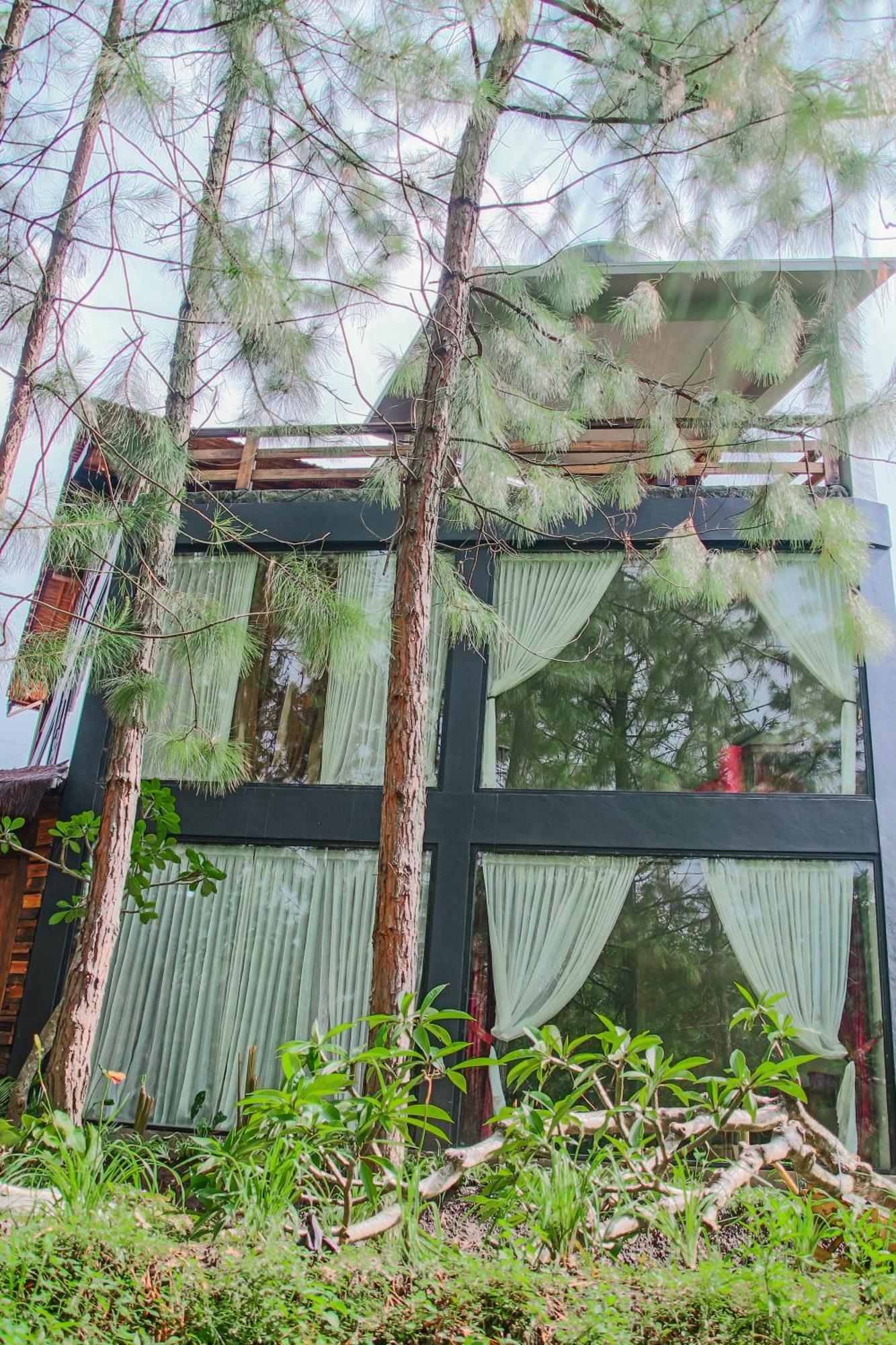 Omah Kayu Bromo Villa Ngadisari Екстериор снимка