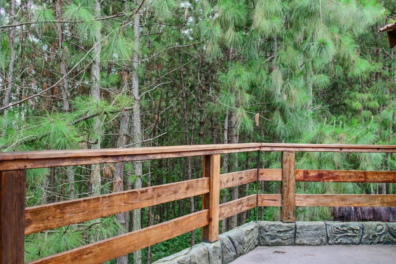 Omah Kayu Bromo Villa Ngadisari Екстериор снимка